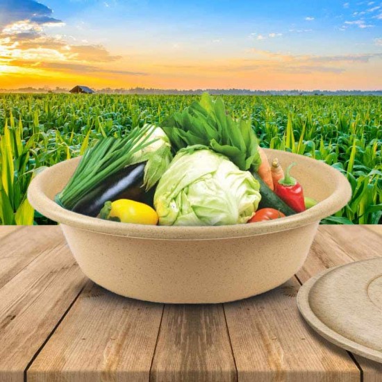 Basin 10 inch With Lid Assorted color