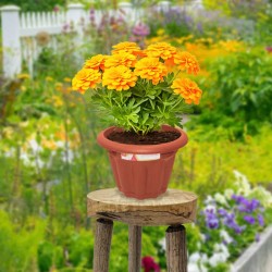 Pot Flower lotus round 40cm FireBrick