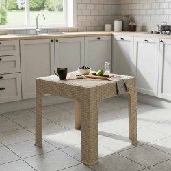  تربيزة شاى راتان/ كامليا بيج